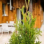 Holiday home 02 Franz Josefs Wald-Chalets *