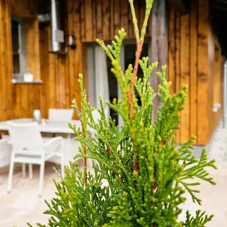 Franz Josefs Wald-chalets 펜션 *